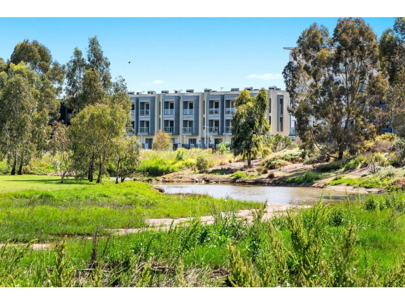 7/22 Euston Walk, Mawson Lakes SA 5095