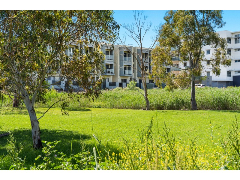 7/22 Euston Walk, Mawson Lakes SA 5095