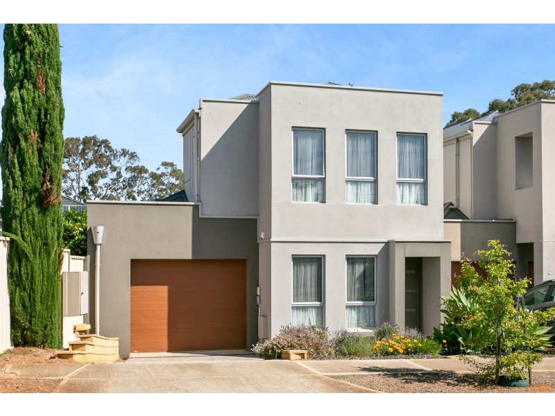38 Albany Crescent, Oaklands Park SA 5046