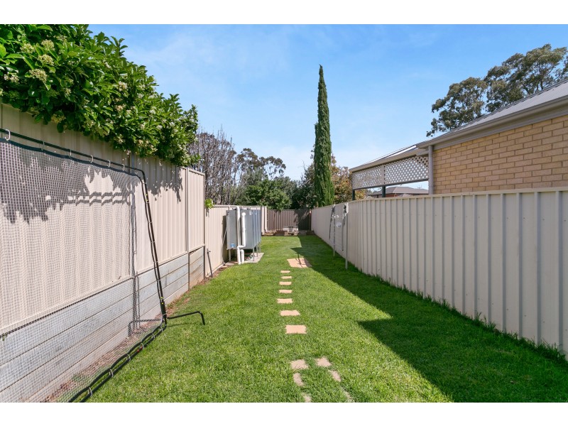 38 Albany Crescent, Oaklands Park SA 5046