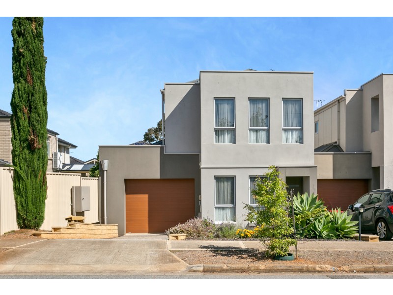 38 Albany Crescent, Oaklands Park SA 5046