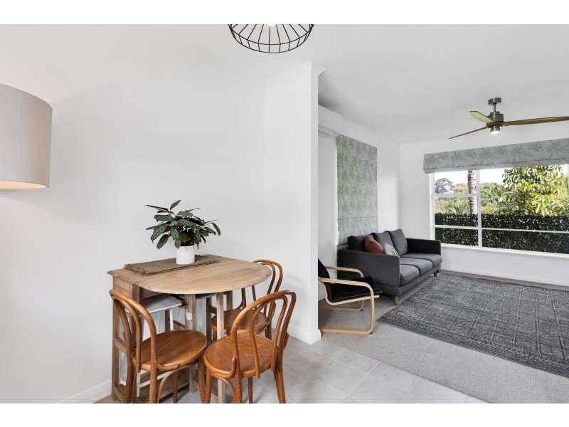 4/4 Torrens Avenue, Lockleys SA 5032