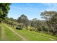 244 Pole Road, Ironbank SA 5153