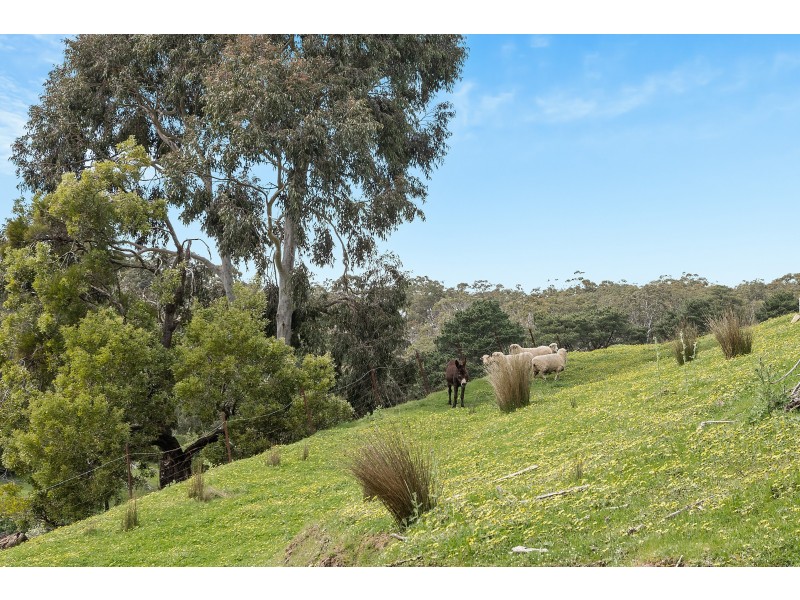 244 Pole Road, Ironbank SA 5153