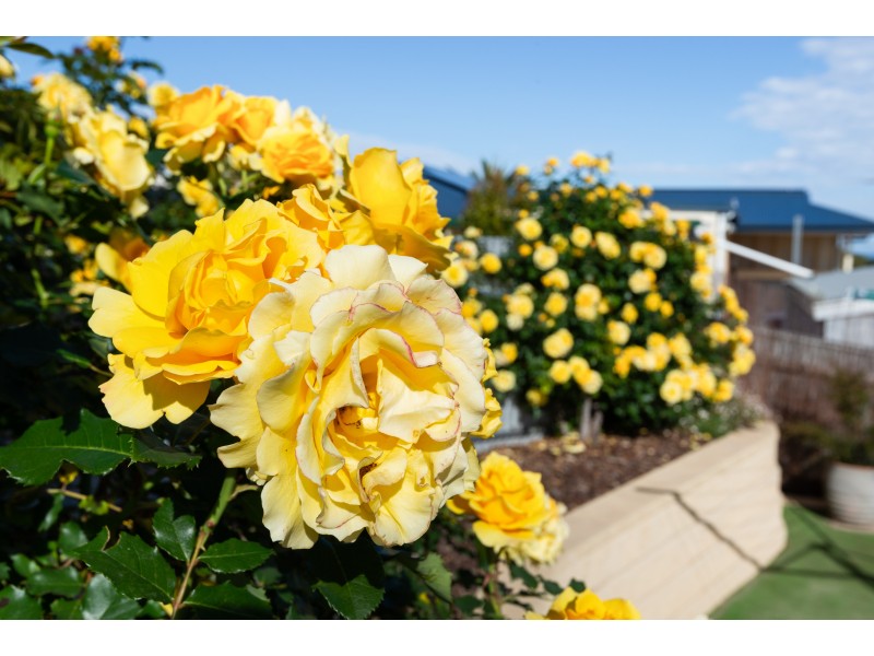 7 Warawee Place, Hallett Cove SA 5158