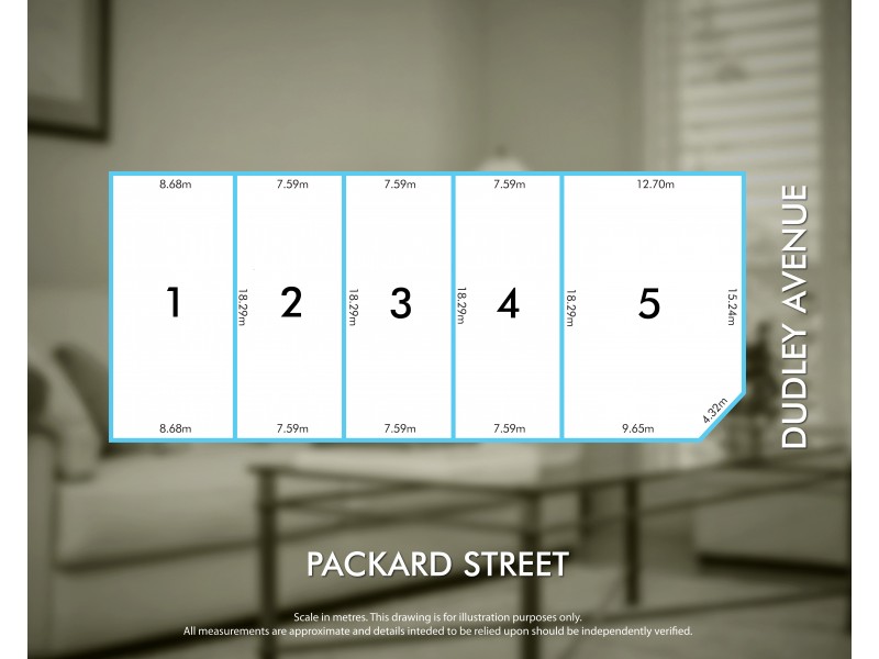 31 Dudley Avenue, North Plympton SA 5037