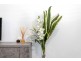91 Kipsy Street, Aldinga Beach SA 5173