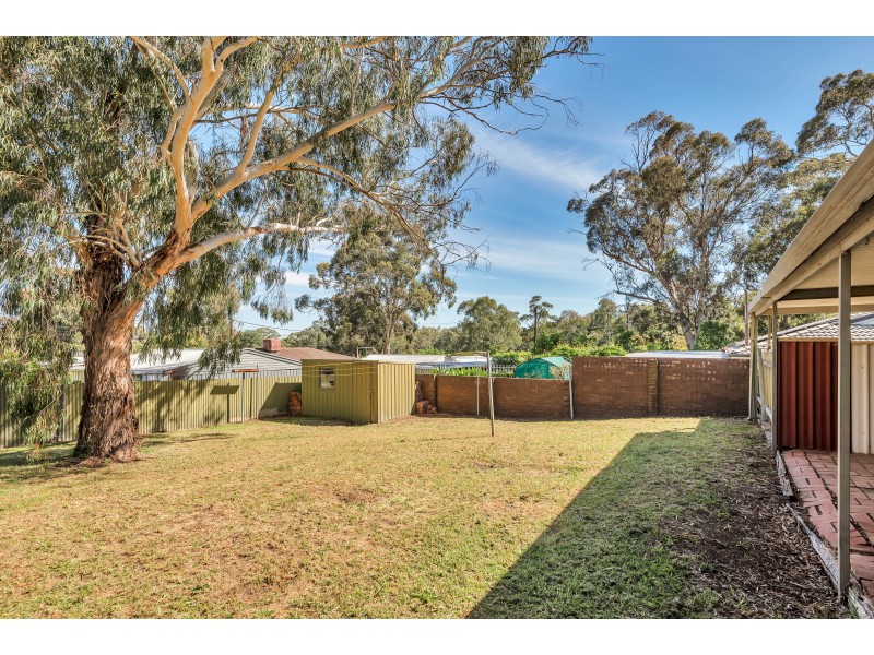 18 Purelli Avenue, Fairview Park SA 5126