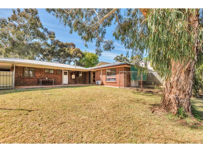 18 Purelli Avenue, Fairview Park SA 5126