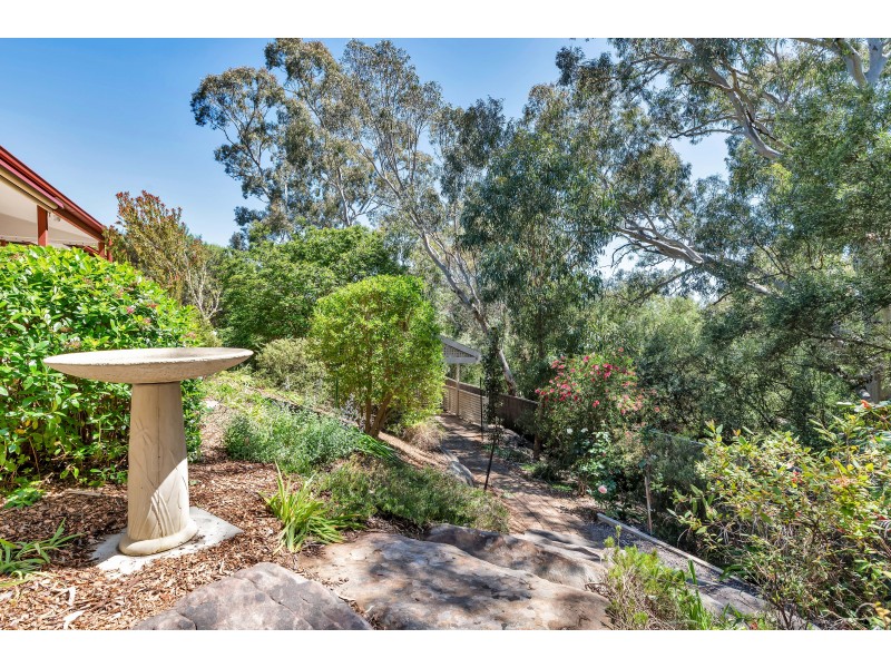 36 The Parkway, Aberfoyle Park SA 5159