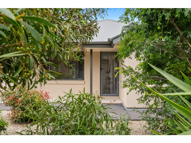 54 Basin Street, Aldinga Beach SA 5173
