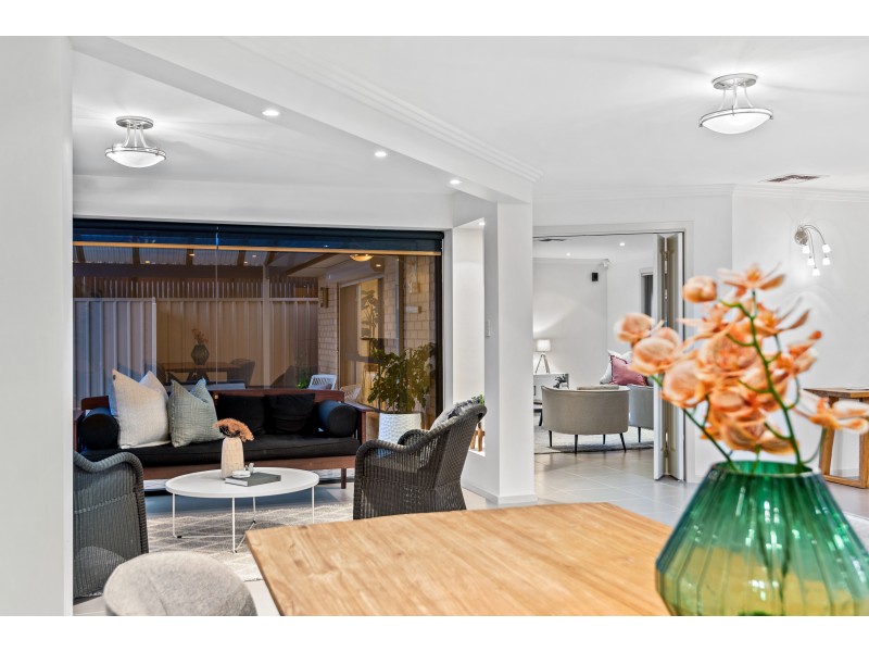 113 Grand Boulevard, Seaford Rise SA 5169