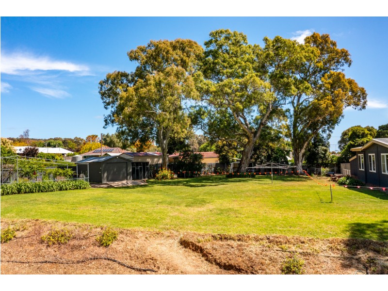 22 Saint Peters Terrace, Willunga SA 5172