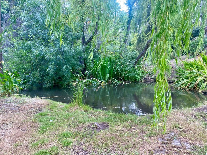 22 Saint Peters Terrace, Willunga SA 5172