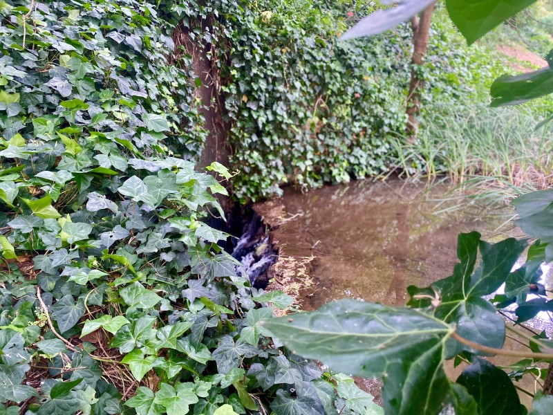 22 Saint Peters Terrace, Willunga SA 5172