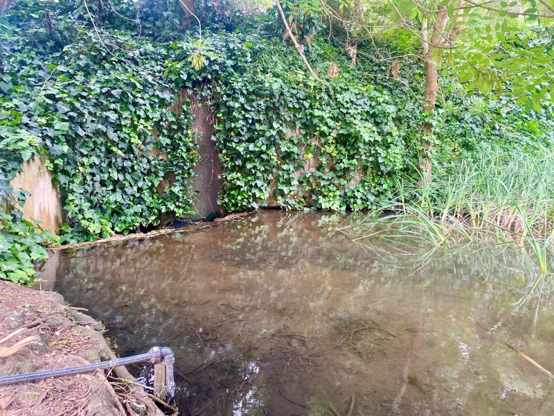 22 Saint Peters Terrace, Willunga SA 5172