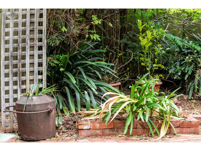 313 Brighton Road, North Brighton SA 5048