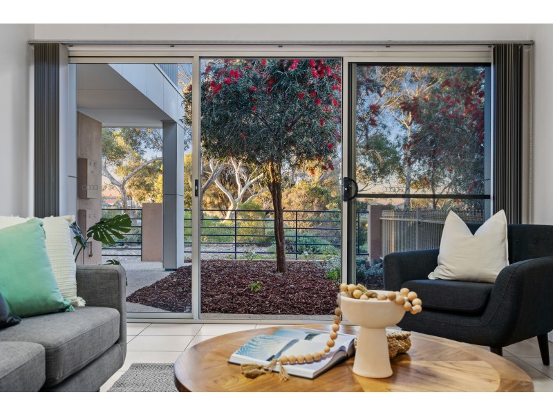2 Goshawk Walk, Aldinga Beach SA 5173