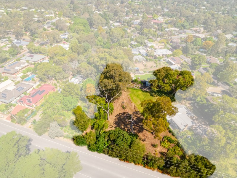 22 Saint Peters Terrace, Willunga SA 5172