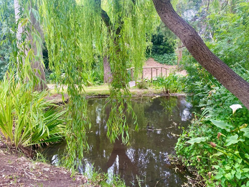 22 Saint Peters Terrace, Willunga SA 5172