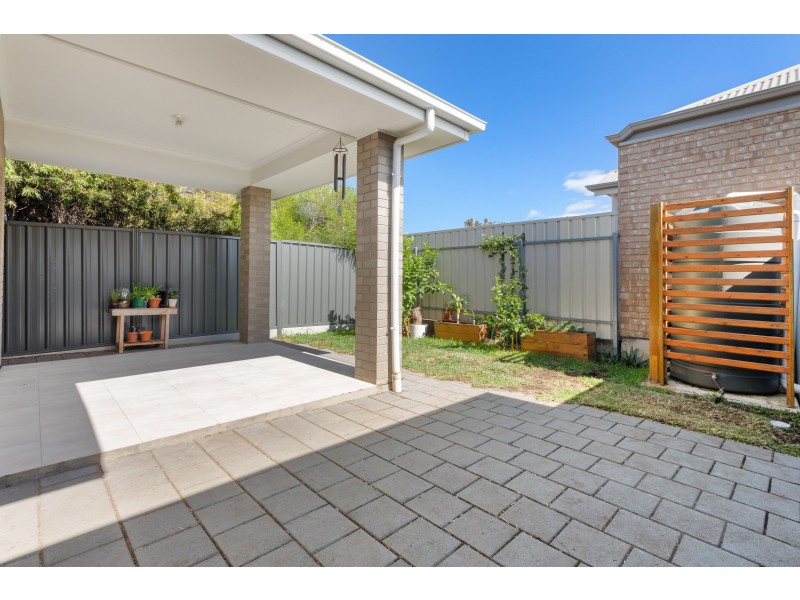 29a Angus Avenue, Edwardstown SA 5039
