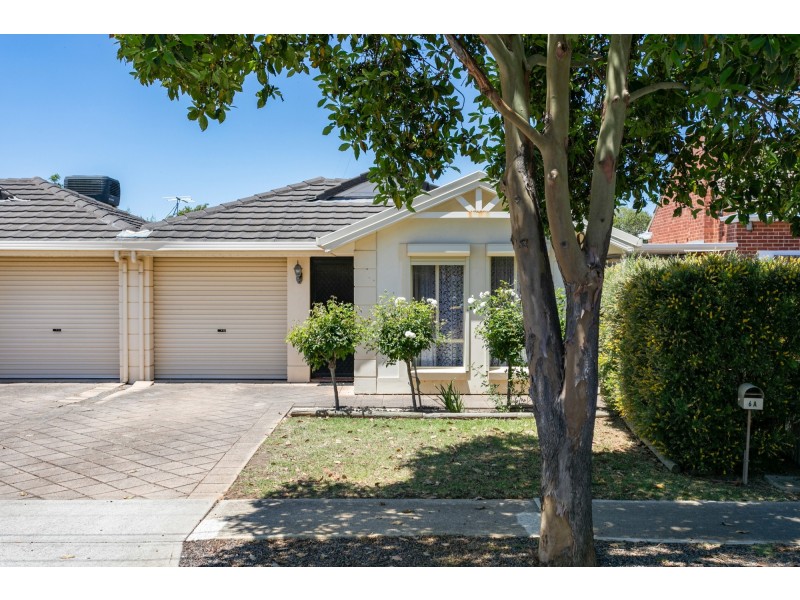 6a Hendrie Street, Morphettville SA 5043