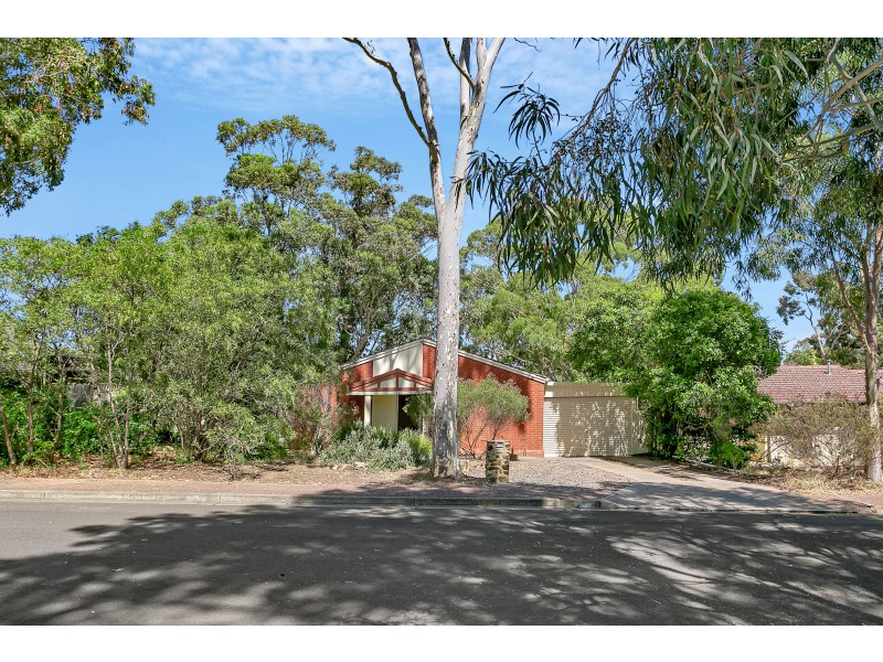13 Redcraze Street, Aberfoyle Park SA 5159