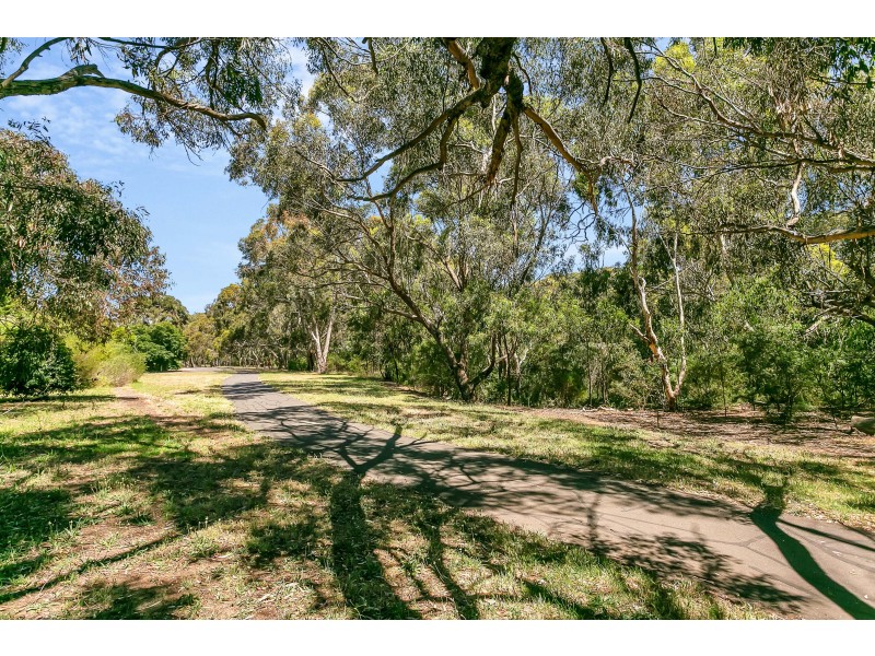 13 Redcraze Street, Aberfoyle Park SA 5159
