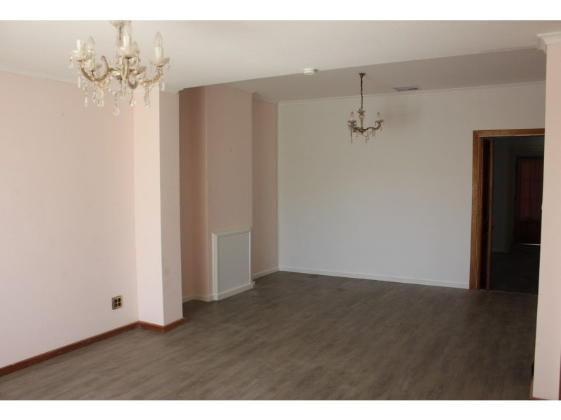 2 Plew Avenue, Morphettville SA 5043