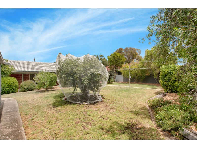 6 Torrens Street, Happy Valley SA 5159