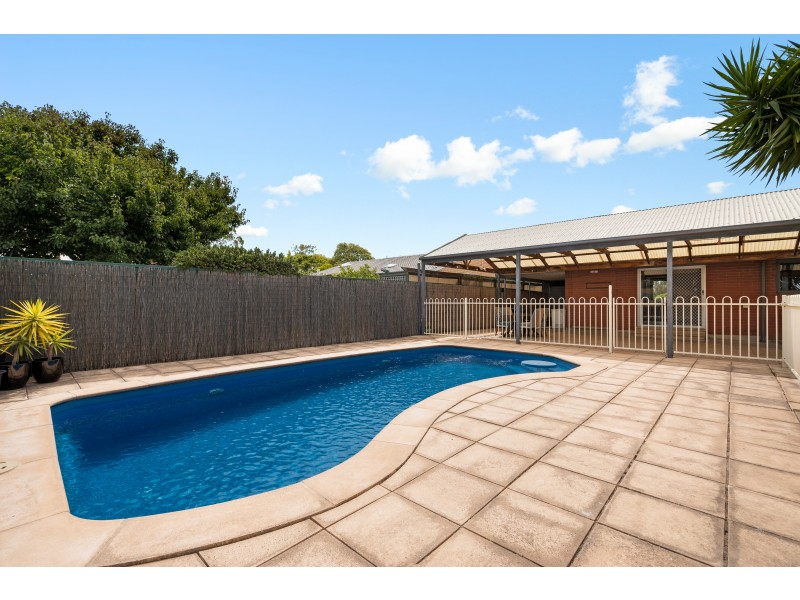 41 Orana Drive, Morphett Vale SA 5162
