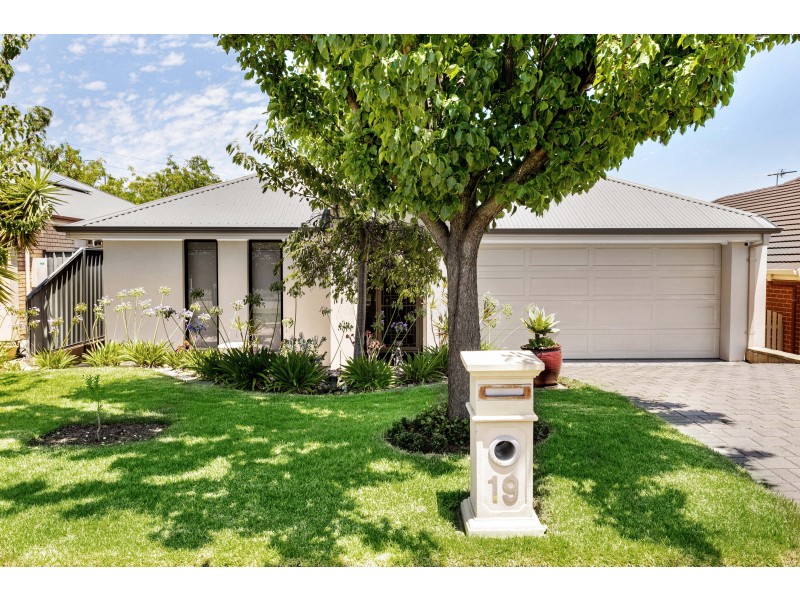 19 Acacia Grove, Flagstaff Hill SA 5159