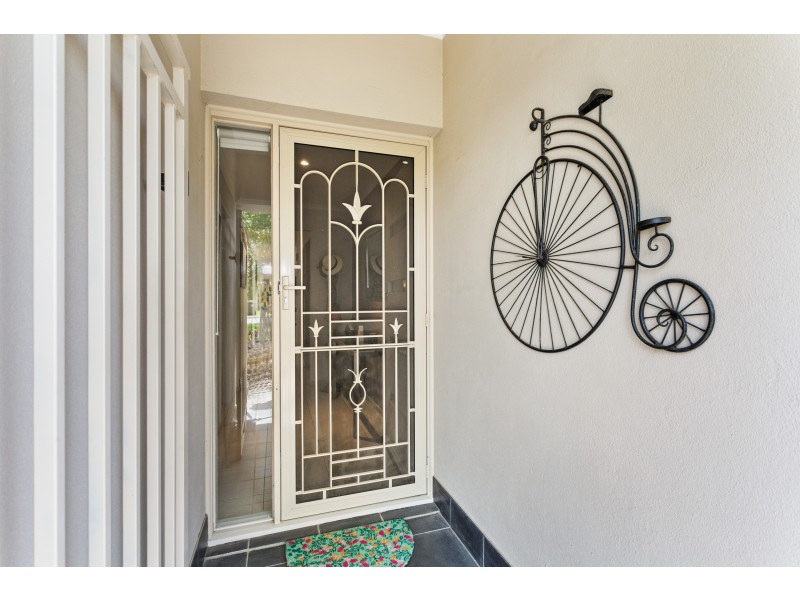 19 Acacia Grove, Flagstaff Hill SA 5159