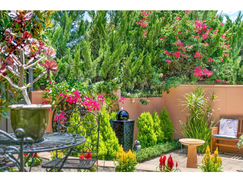 19 Acacia Grove, Flagstaff Hill SA 5159