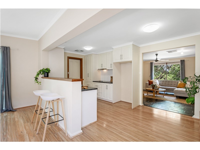 4 Swifte Court, Aberfoyle Park SA 5159