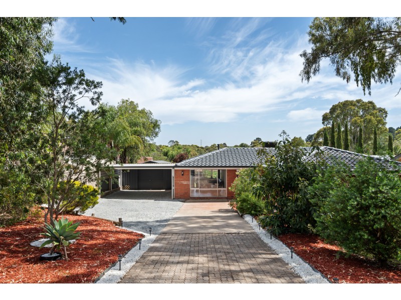 13 Homestead Drive, Aberfoyle Park SA 5159