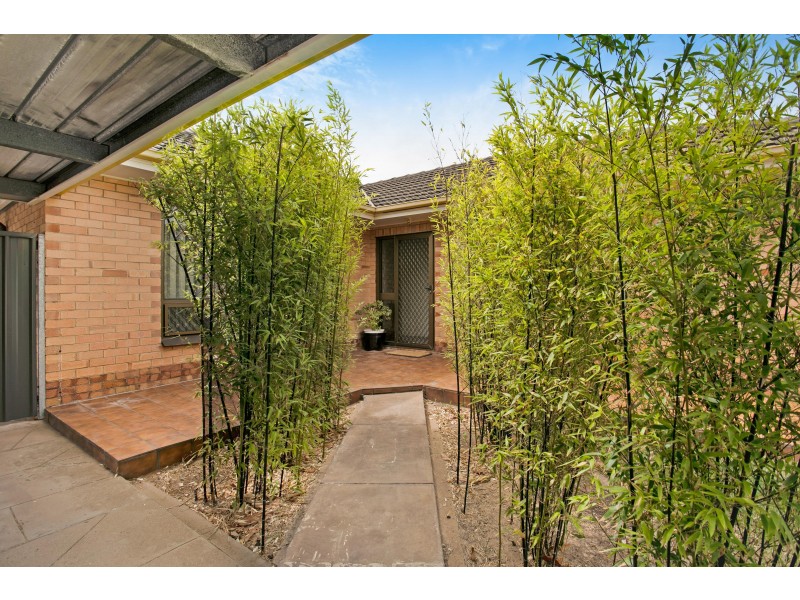 7 MacArthur Avenue, Warradale SA 5046