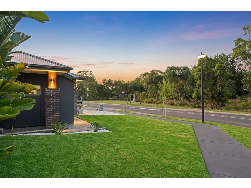 16 Harewood Grove, Meadows SA 5201
