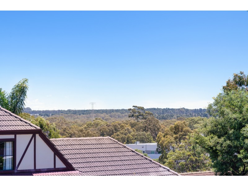 17 Andrew Court, Aberfoyle Park SA 5159