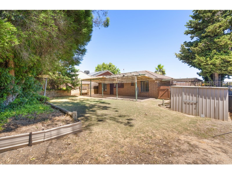 17 Andrew Court, Aberfoyle Park SA 5159