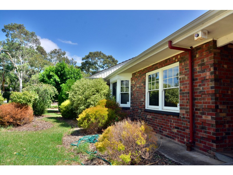 7 Teesdale Crescent, Plympton Park SA 5038