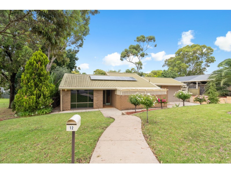 12 Buchanan Grove, Reynella East SA 5161