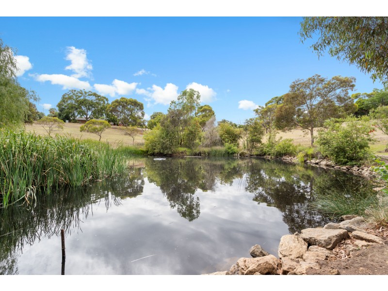 12 Buchanan Grove, Reynella East SA 5161