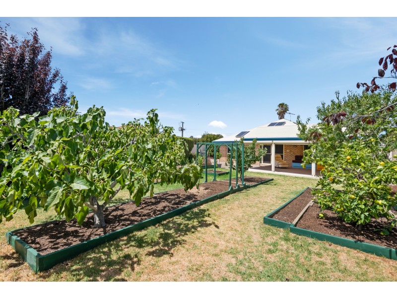 15 McBurney Crescent, Aldinga Beach SA 5173