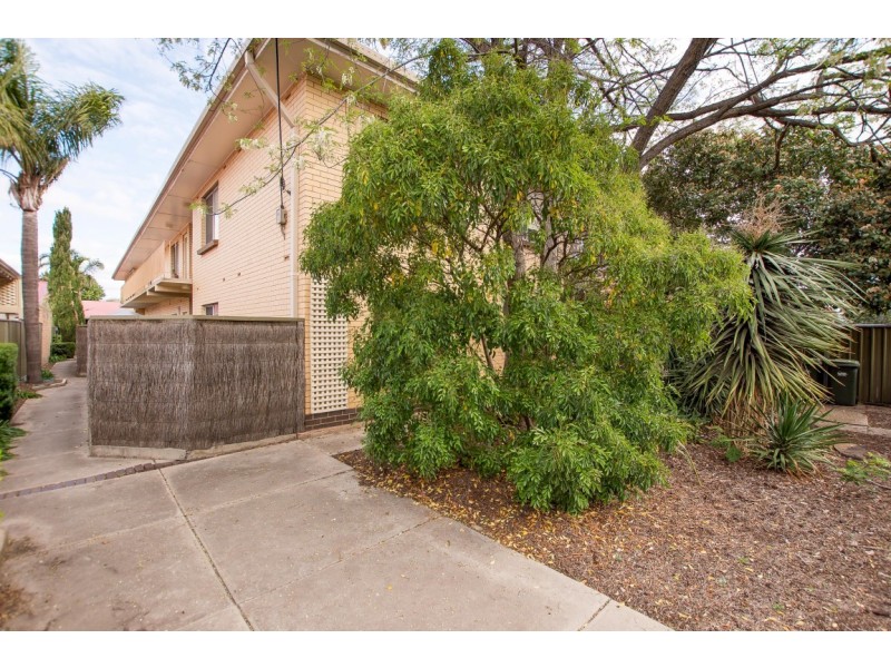 3/49 Ballantyne Street, Thebarton SA 5031