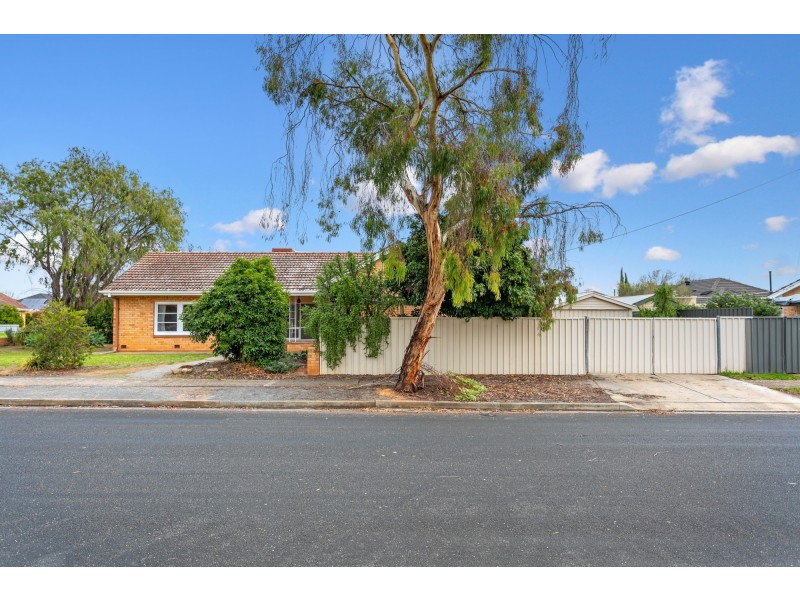 12 Lynne Court, Marion SA 5043
