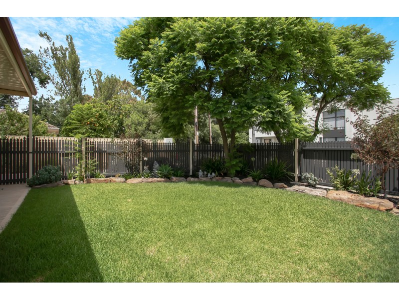 69 Gray Street, Plympton SA 5038
