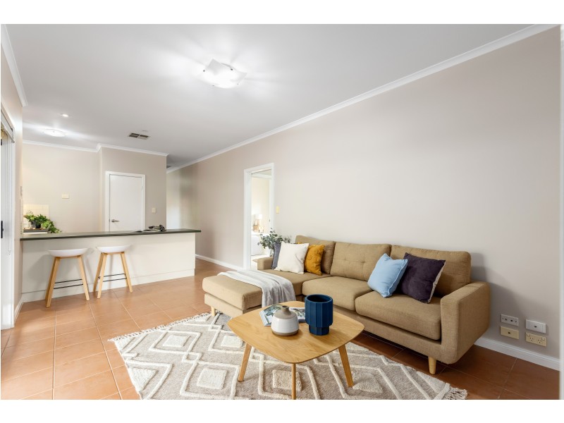 53 Pegasus Drive, Woodcroft SA 5162