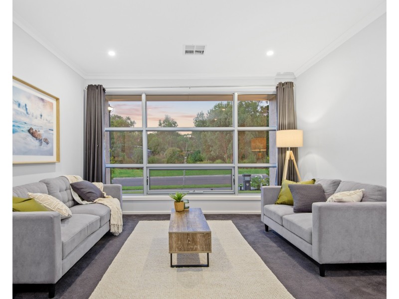 14 Harewood Grove, Meadows SA 5201
