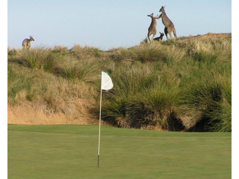 7A Troon Drive, Normanville SA 5204